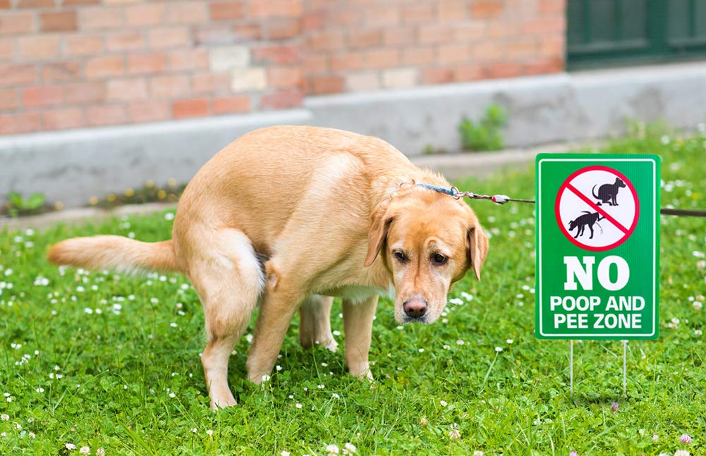 WaaHome No Poop Sign includes 12-inch metal stakes for easy installation