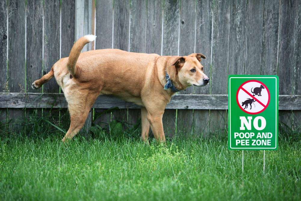 WaaHome No Poop Sign in yard protects lawn from pet waste