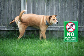 WaaHome No Poop Sign in yard protects lawn from pet waste