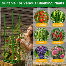 WAENLIR climbing plants cage helps plants stay upright