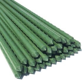 WAENLIR garden stakes 30-inch pack provides sturdy support for climbing plants.