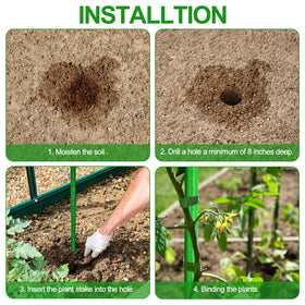 WAENLIR plant-shaping pro guides growth for better light distribution.