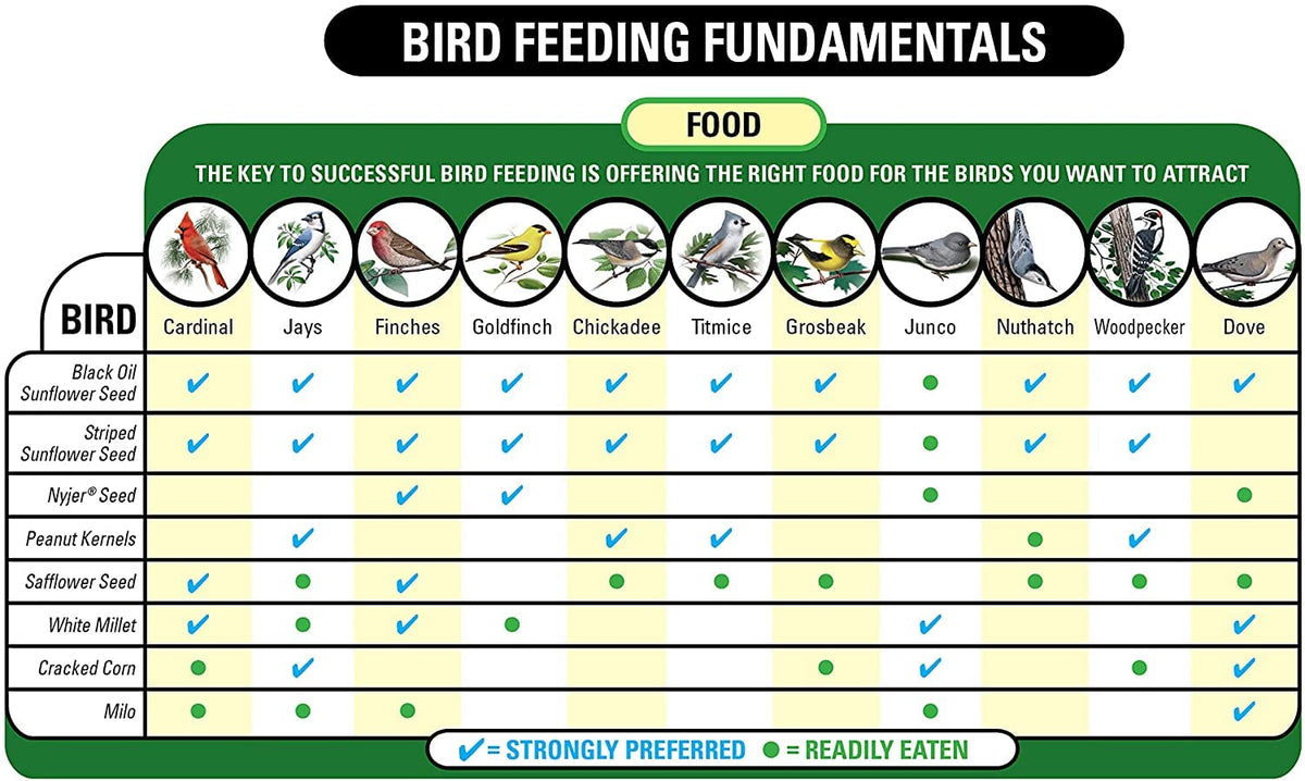 Bird feeding setup with Wagner's Cardinal Blend