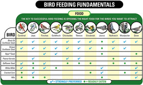 Bird feeding setup with Wagner's Cardinal Blend