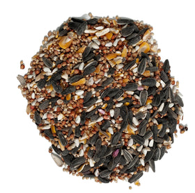 Wagner's Deluxe Treat Blend safflower seed close-up for birds' appeal.
