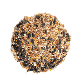 Wagner's Deluxe Wild Bird Food mix on a feeder attracts cardinals and finches.