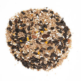 Wagner's Blend attracts multiple bird species at the feeder.