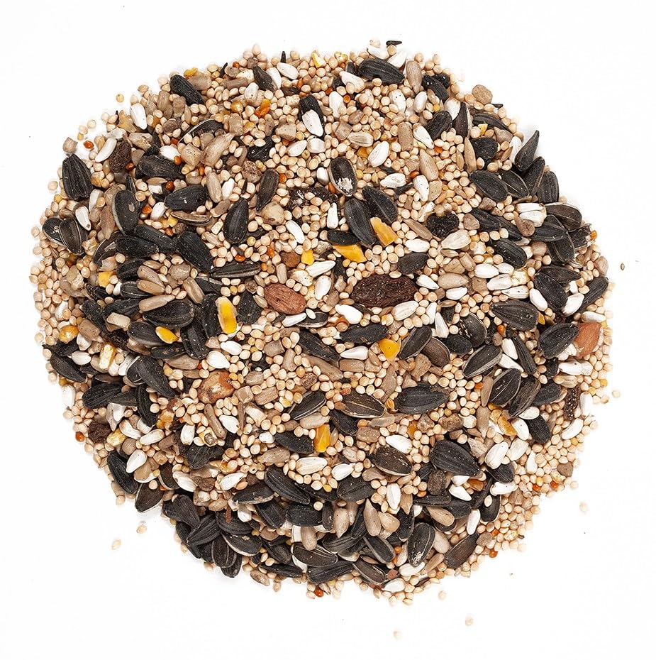 Wagner's seed blend in a hopper feeder demonstrates versatile feeding options.