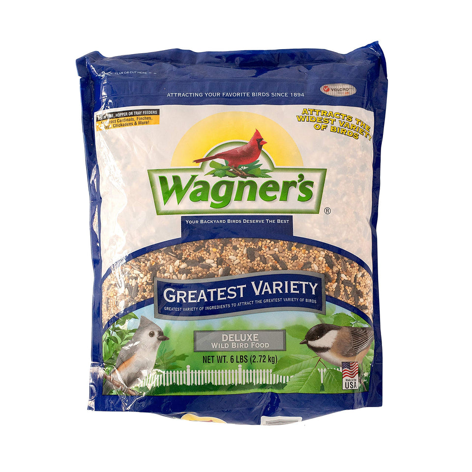 Wagner's Greatest Variety Blend seed mix in a feeder attracts diverse songbirds.