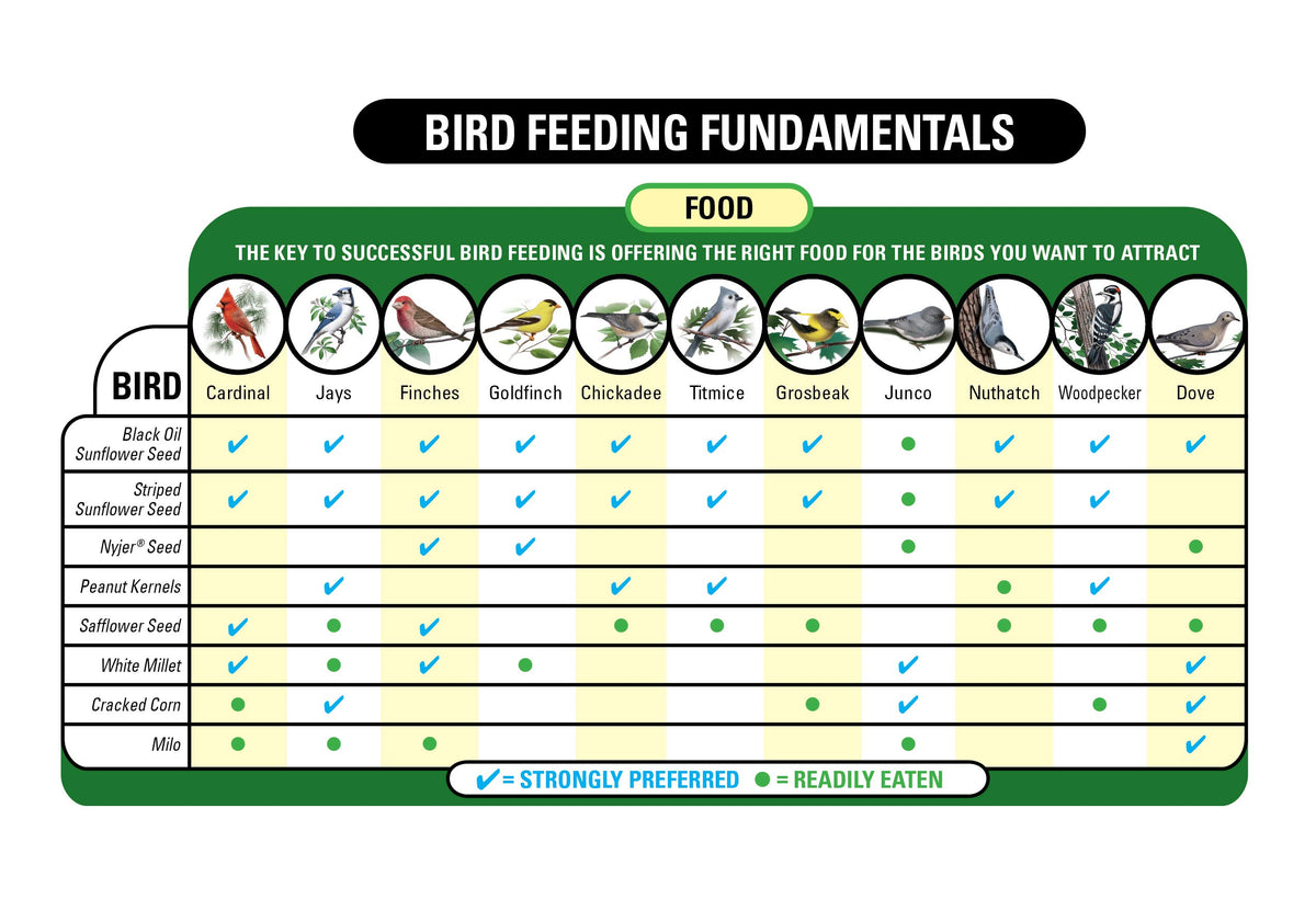 Wagner's Midwest Regional Blend attracting cardinals and finches at feeder.