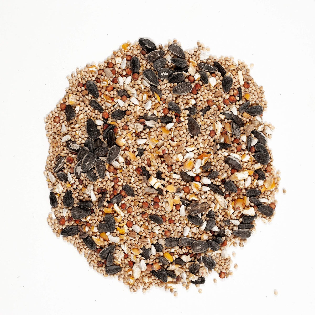 Wagner's Midwest Regional Blend close-up seeds highlight diversity.
