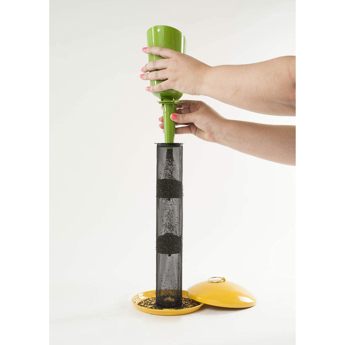 Wagner's Nyjer Seed in backyard feeding invites Goldfinches and Pine Siskins