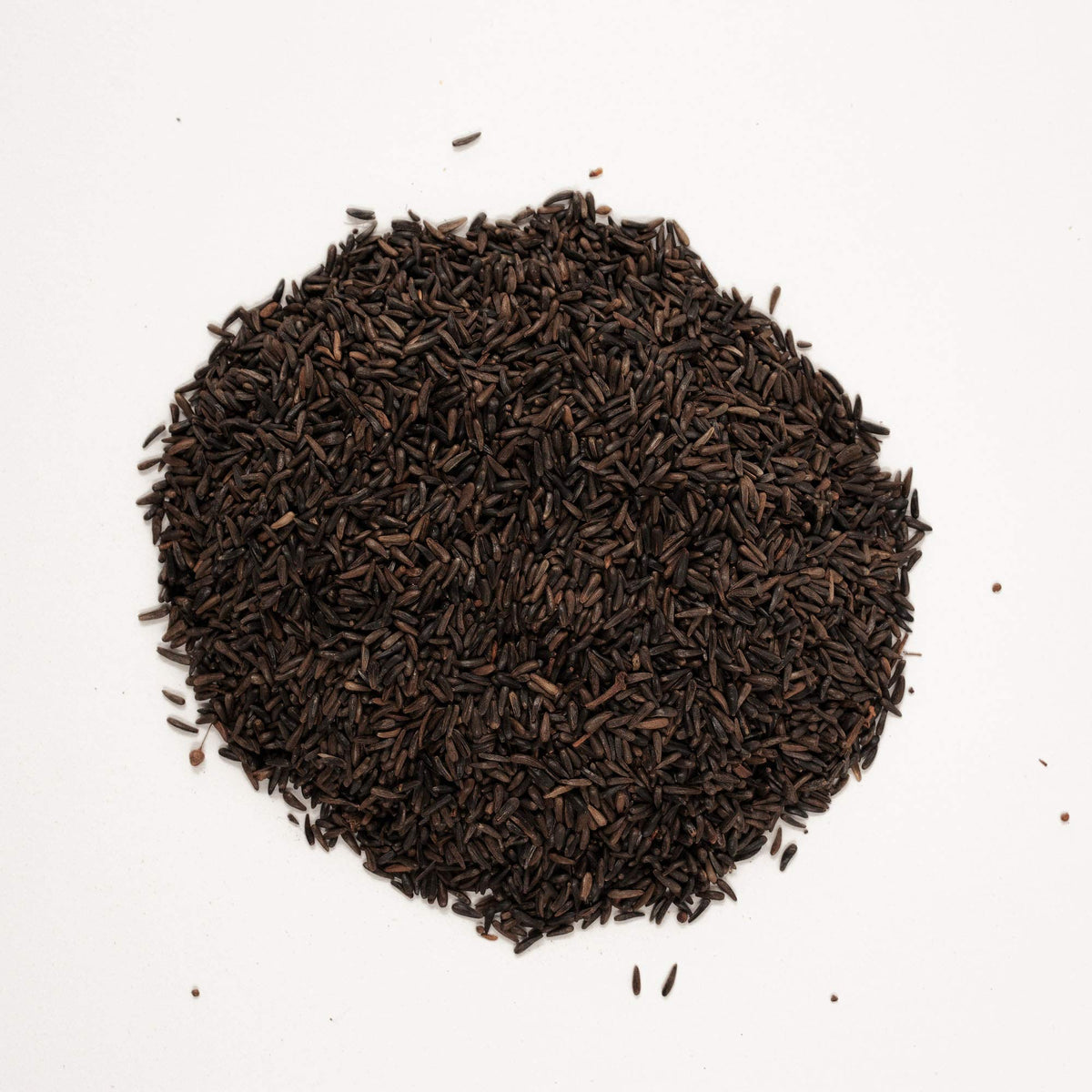 Wagner's Nyjer Seed closeup shows tiny, energy-dense seeds for finches