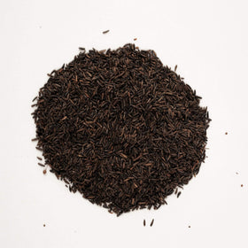 Wagner's Nyjer Seed closeup shows tiny, energy-dense seeds for finches