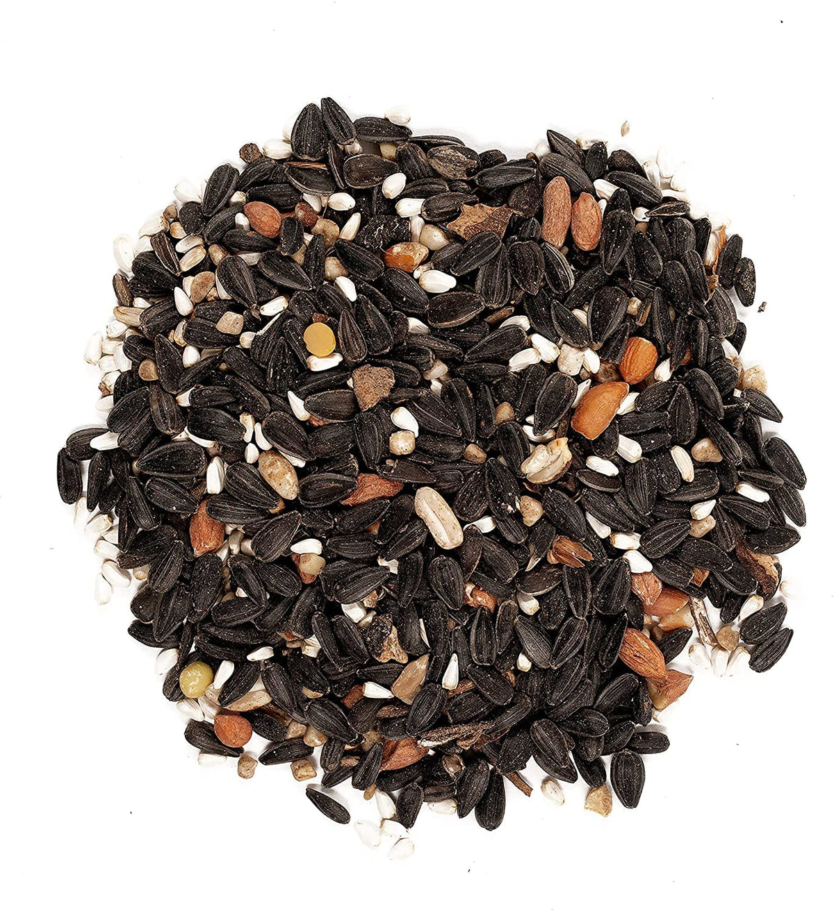 Wagner’s Songbird Banquet seed-nut mix visible, appealing to many species.