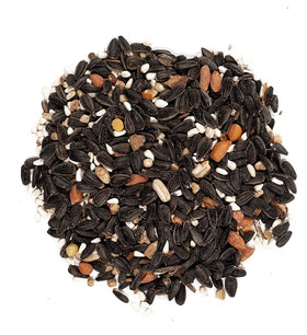 Wagner’s Songbird Banquet seed-nut mix visible, appealing to many species.