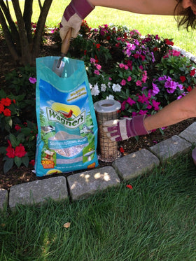 Wagner's Southern Regional Blend at a feeder attracting diverse songbirds.