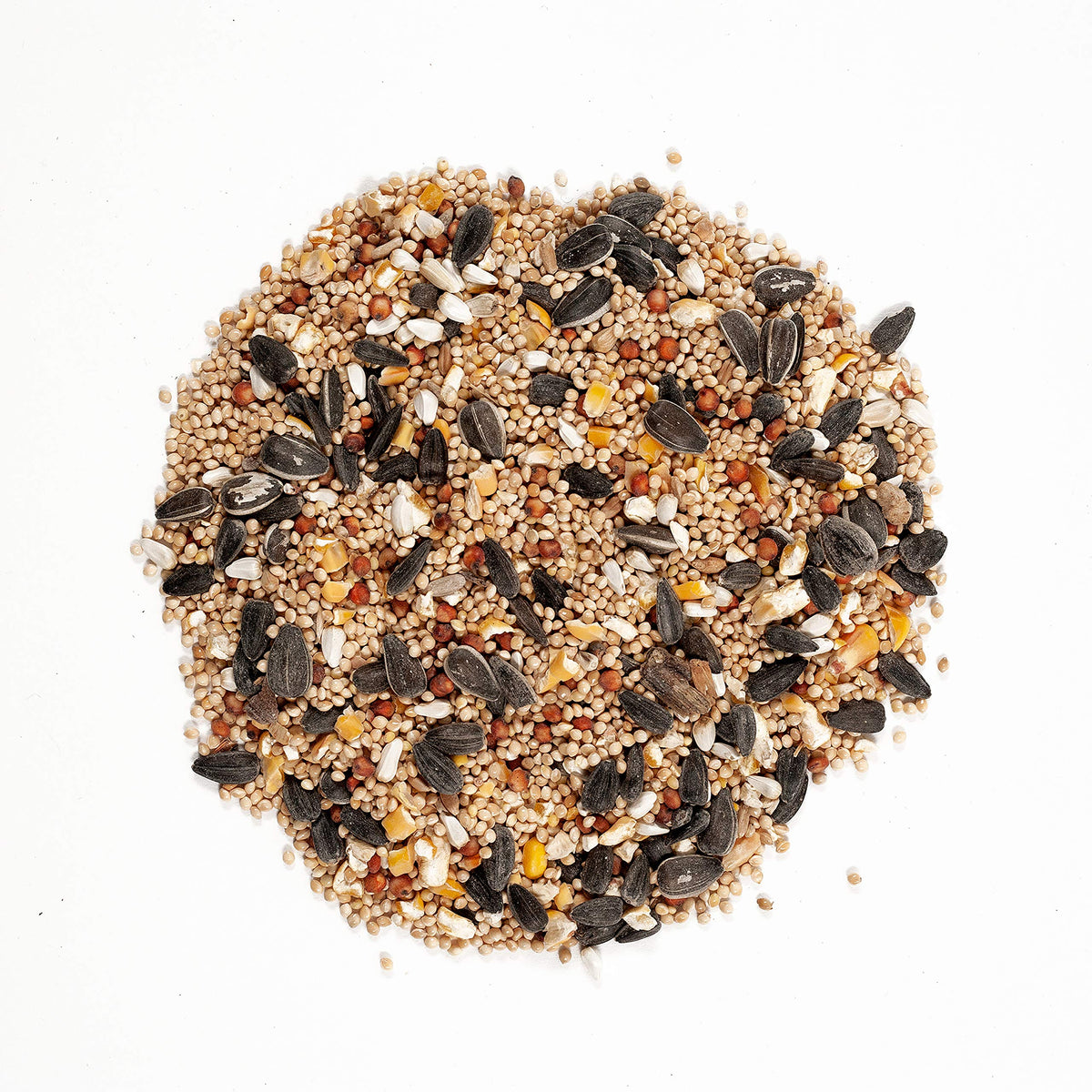 Wagner's striped sunflower seeds closeup offers varied shapes for backyard birds.
