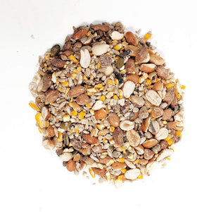Wagner's Waste Free Gourmet closeup of nuts and seeds, a high-energy mix for songbirds.