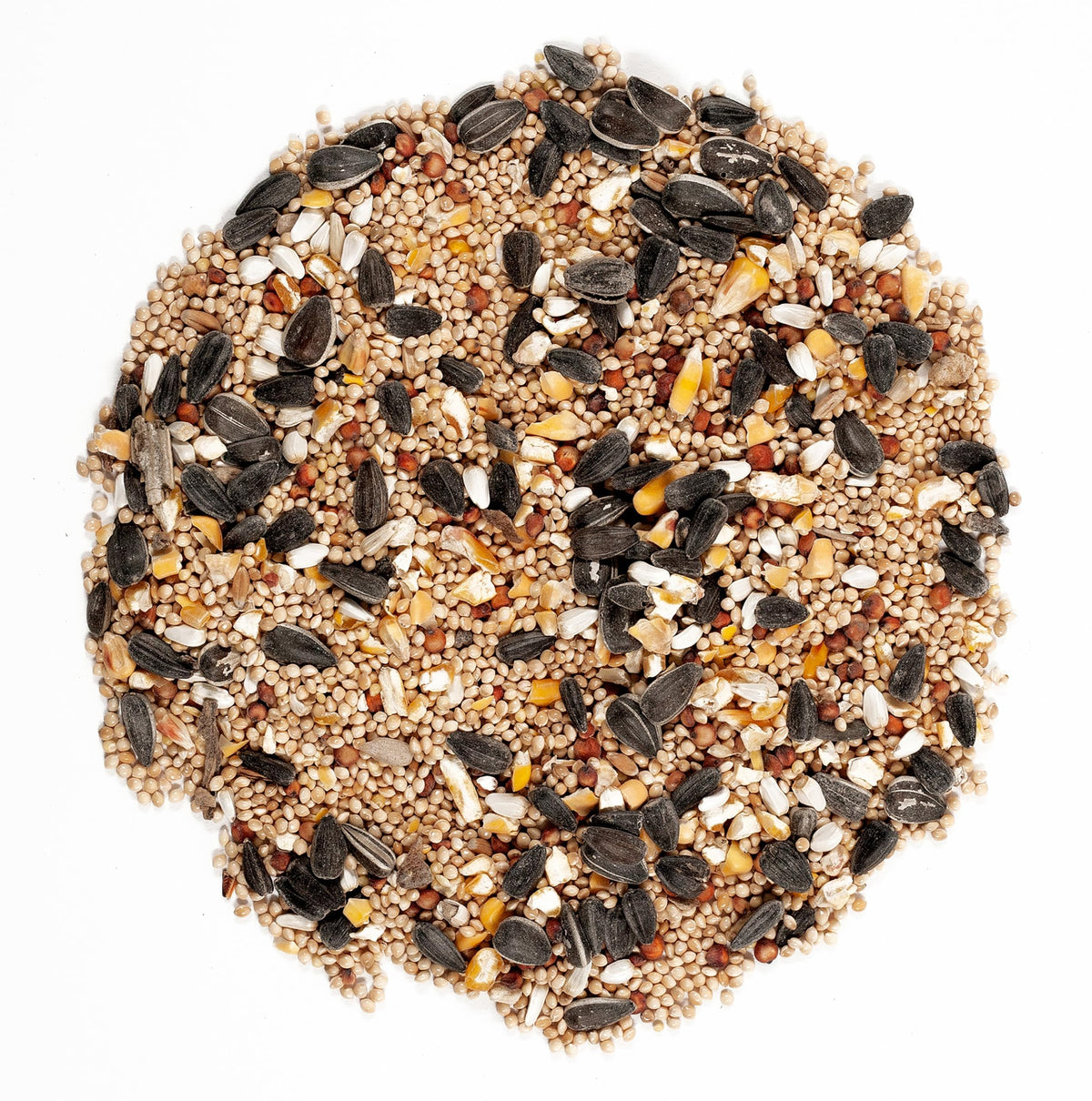 Safflower seeds visible in Wagner's mix support varied foraging.