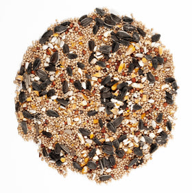 Safflower seeds visible in Wagner's mix support varied foraging.