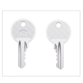 On-site use of WAH LIN PARTS 455 keys for reliable starts