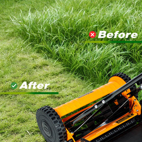 Walensee adjustable height 0.5 to 1.5 inches enables seasonal lawn shaping.