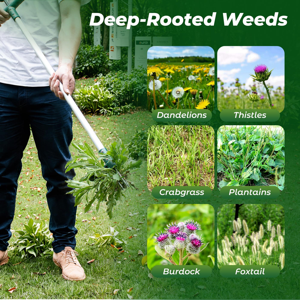 Walensee ergonomic standup tool minimizes fatigue during gardening.