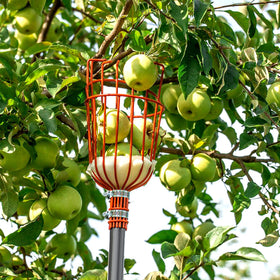 Walensee fruit picker height options fit multiple fruit trees