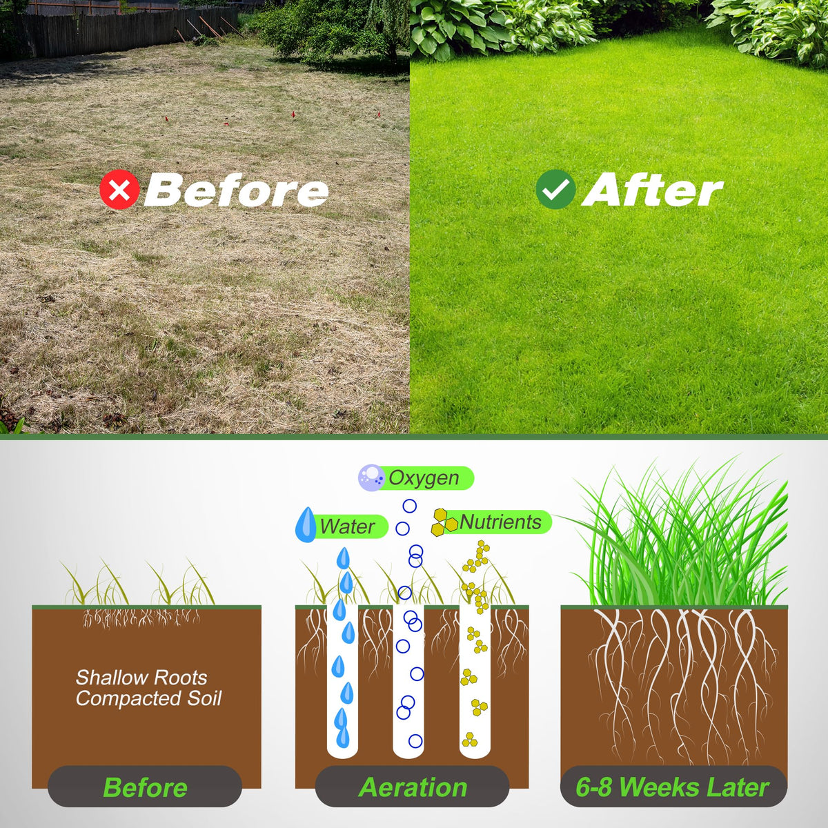 Walensee tip: water soil before use for smoother operation.