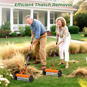 Walensee Dethatching on moss and leaves demo highlights debris removal.