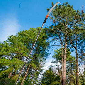 Walensee pole saw extension pole assembly demonstrates easy setup for high-reach pruning