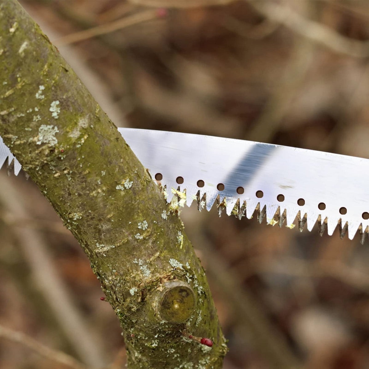 Walensee pole saw in garden ready for pruning branches and leaves.