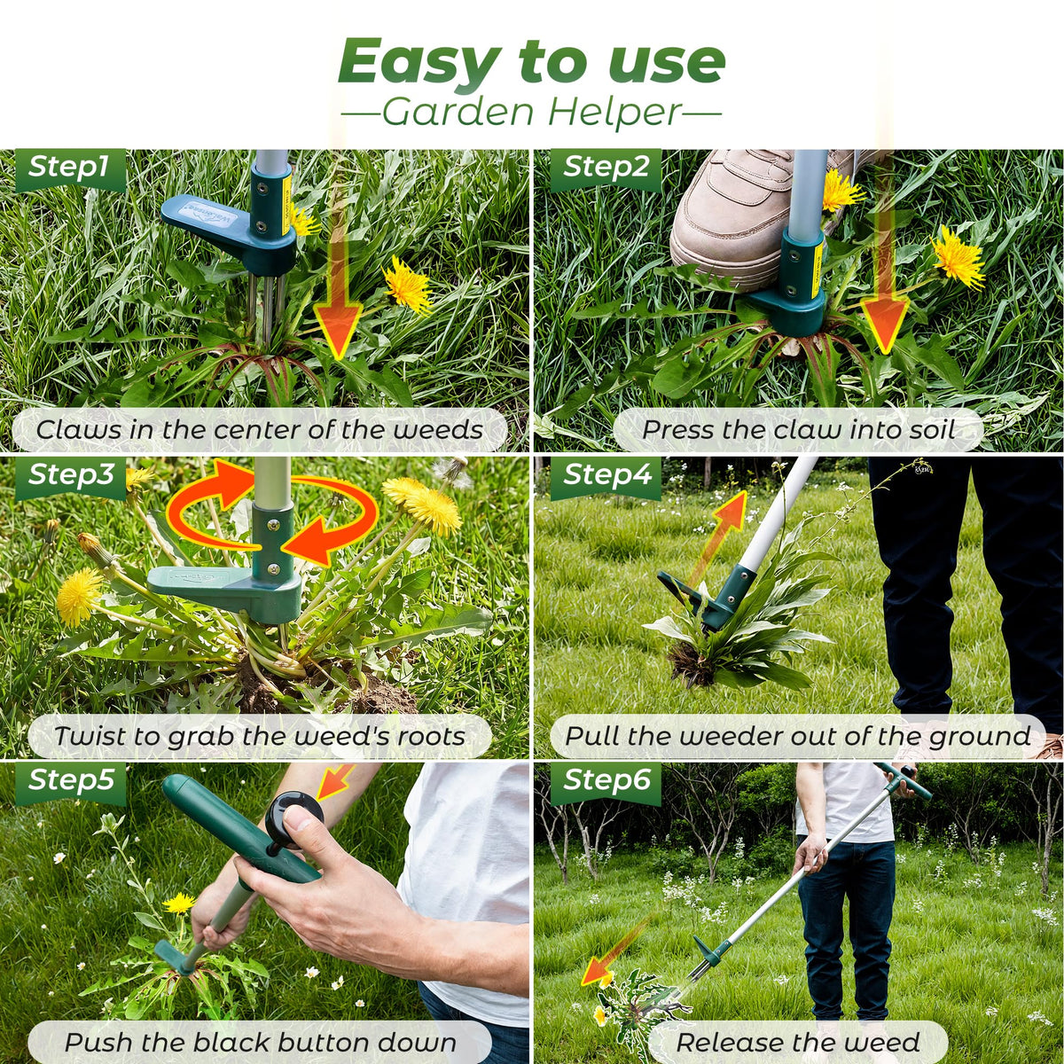 Walensee weed puller securely grips weed roots for clean removal.