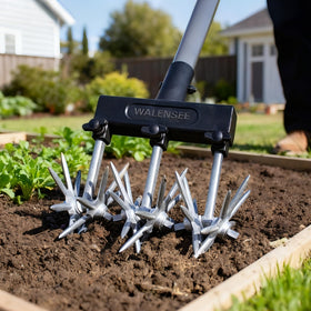 Walensee uses lightly moist soil for best results.