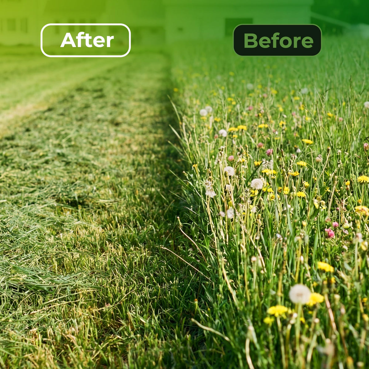 Walensee rust-resistant steel blade stays sharp and durable through rain and weeds.