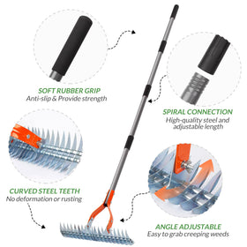 Walensee Thatch Rake with 19 curved tines penetrates debris beneath the surface.