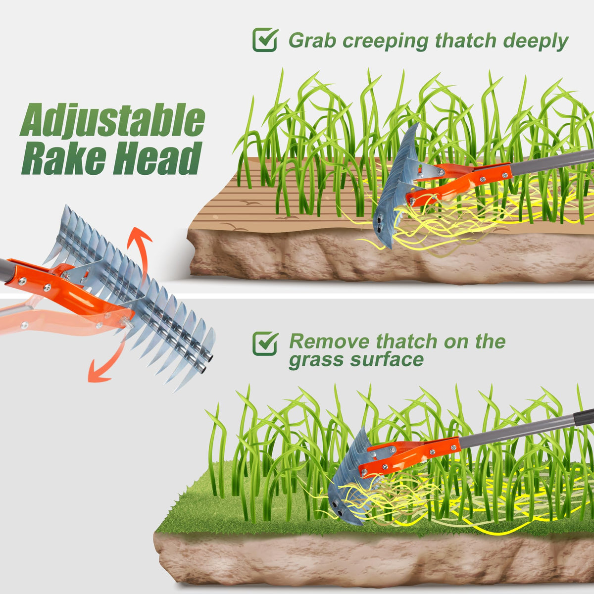 Walensee Thatch Rake easy assembly and adjustable length for different user heights.