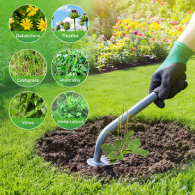 Walensee Weed Puller Tool prying dandelions with ease