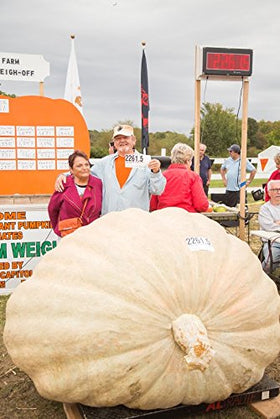 Wallace Whoppers garden bed ready for a space-efficient giant pumpkin