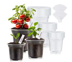 WandaQueen clear 3.5-inch nursery pot showing water level for precise watering