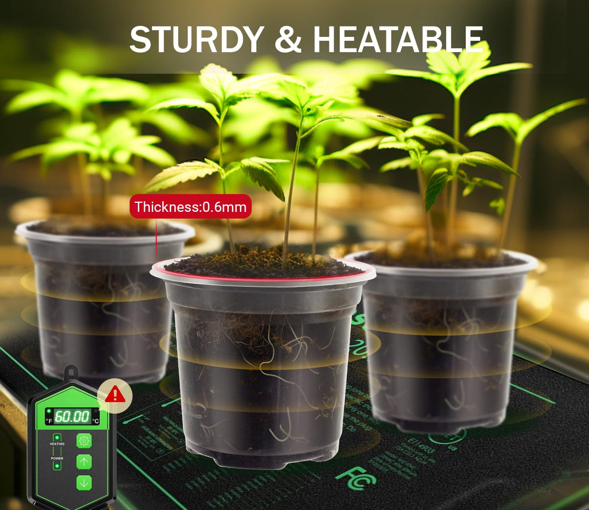 WandaQueen clear 4-inch nursery pot highlighting soil humidity for timely irrigation
