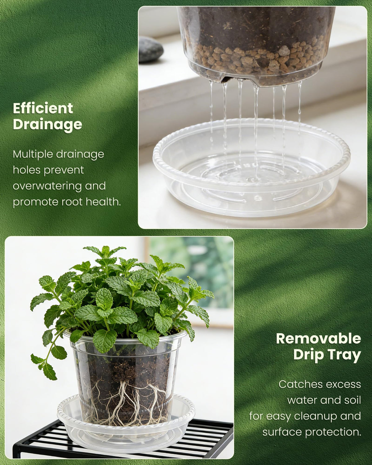 WandaQueen clear 5-inch nursery pot with saucer for compact indoor gardening