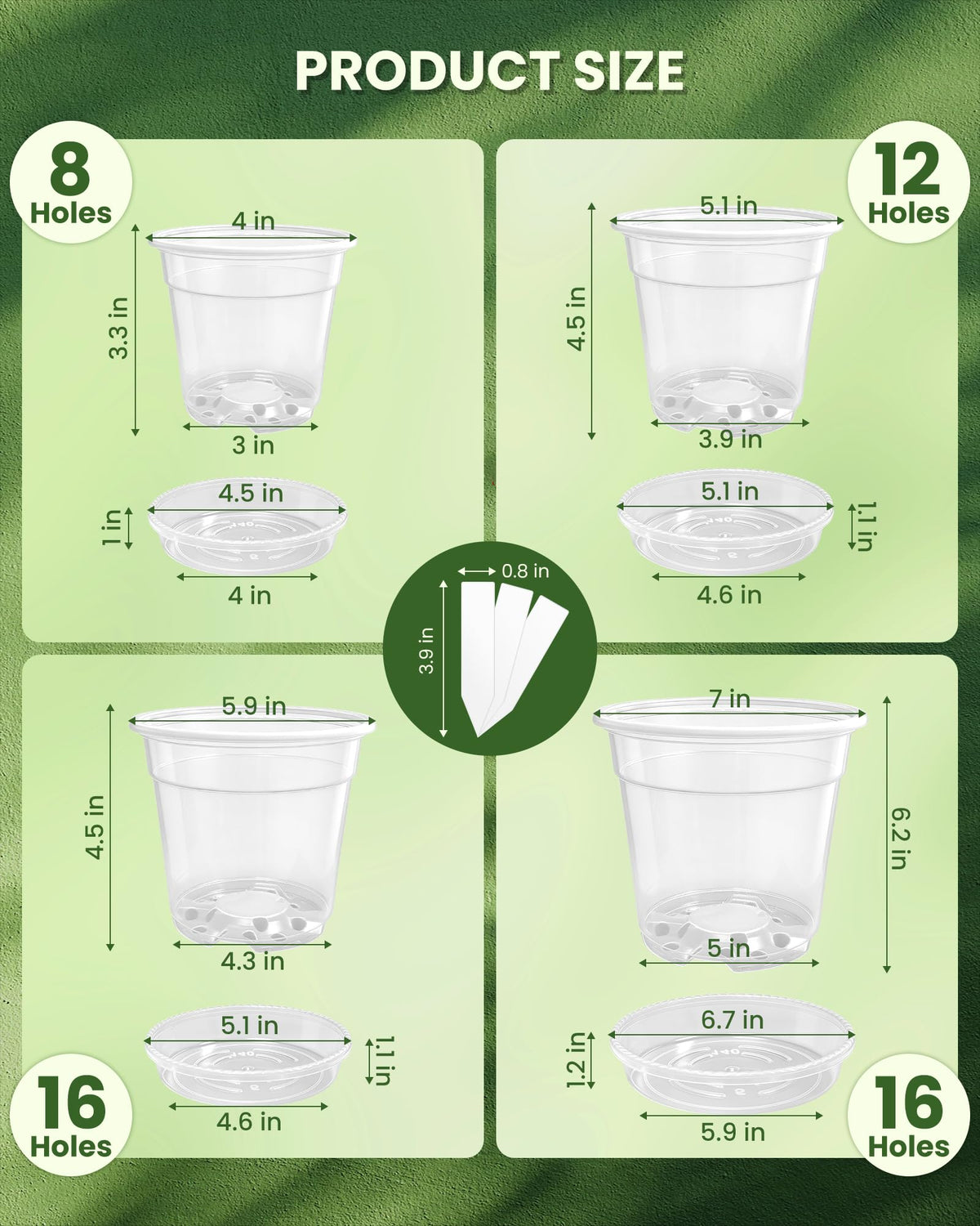 WandaQueen clear 6-inch nursery pot with saucer ideal for starter plants
