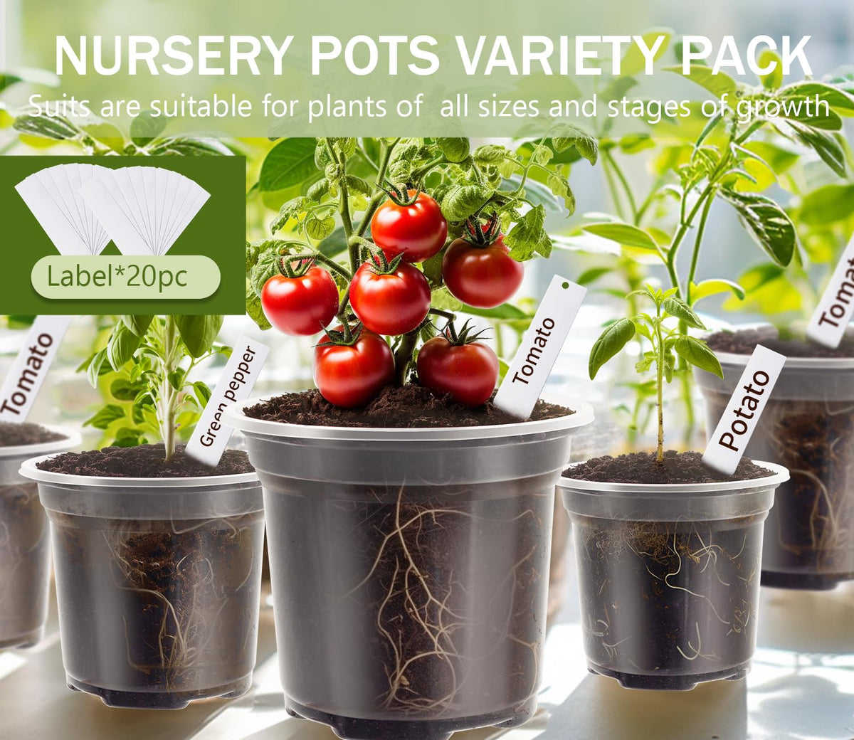 WandaQueen plant pot with drainage holes to prevent overwatering and root rot