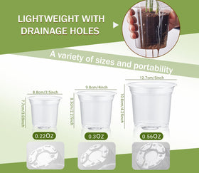 WandaQueen lightweight clear plastic pot easy handling during transplanting