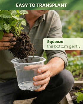 WandaQueen 24 plant labels included for simple variety tracking and care