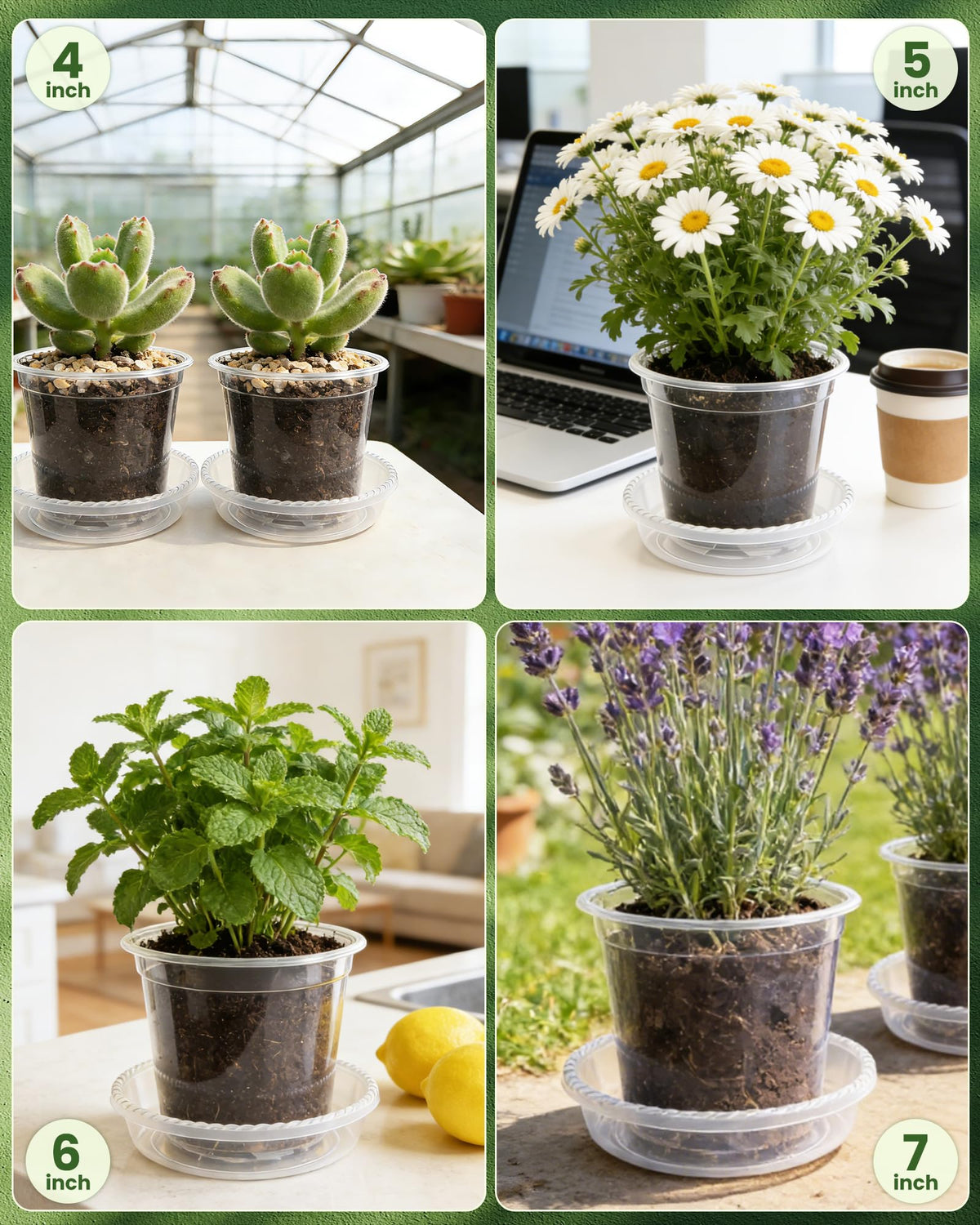 WandaQueen set of 24 pots with matching saucers for organized seed starting