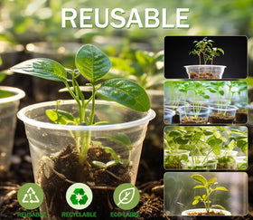 WandaQueen sturdy PET plant pot with heat resistance for busy growing spaces