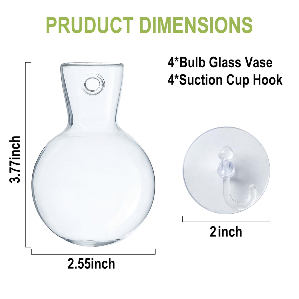 Wangsdjy bulb glass vases highlighting root growth through clear design
